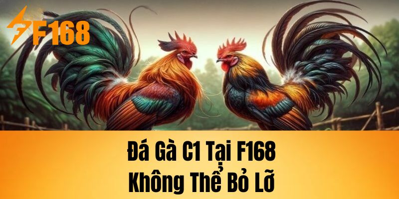 Đá gà C1 tại F168, không thể bỏ lỡ