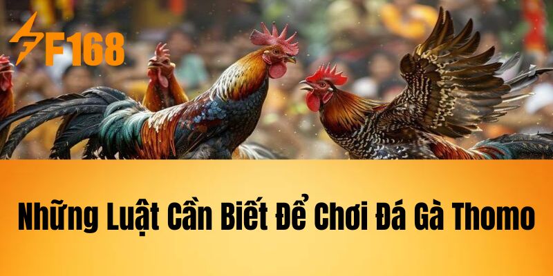 Những Luật Cần Biết Để Chơi Đá Gà Thomo